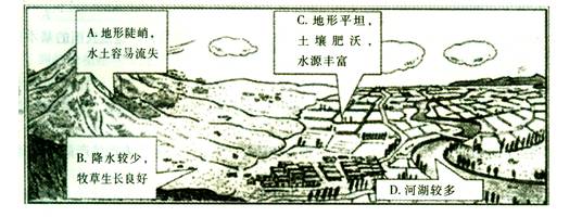 初中地理因地制宜发展农业试题列表-初中地理中国的经济发展-中国地理